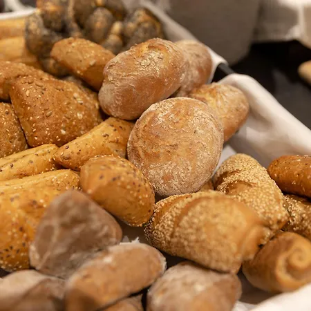 Crowne Plaza Frankfurt Congress By Ihg 4* 美因河畔法兰克福