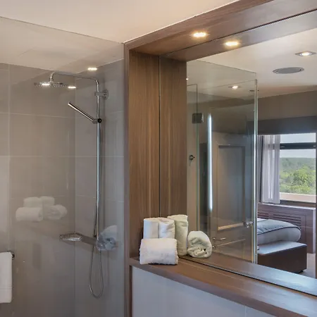 Hotel Crowne Plaza Frankfurt Congress By Ihg 4*